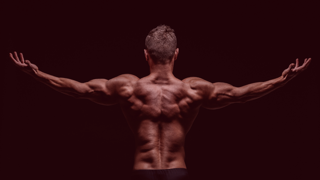 90-day Body Transformation (Challenge 25)