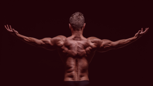 Total Body Isometric Exercise Workout