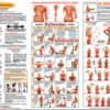 Steel Bow exercise chart
