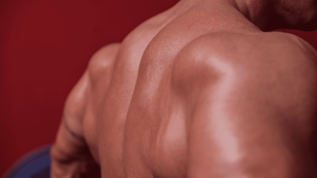 Killer Back Workout in 5 minutes - Bullworker Isometric Exercises