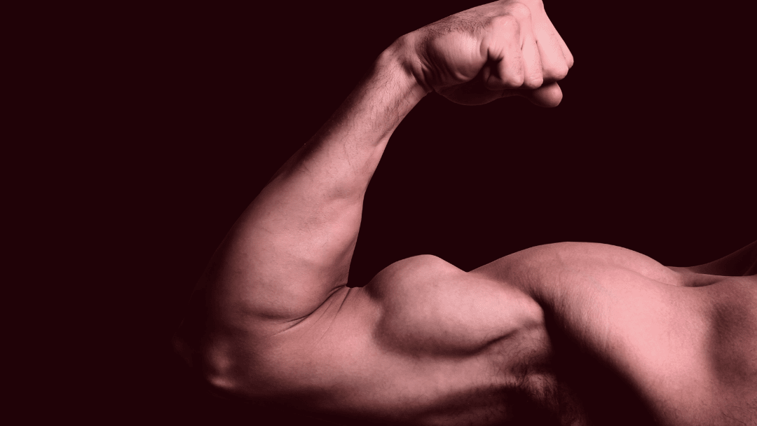 Bullworker biceps top