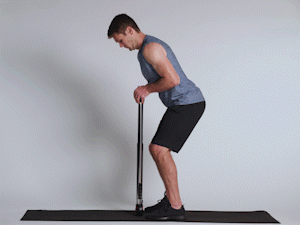 Bow Classic Standing Triceps Push Down