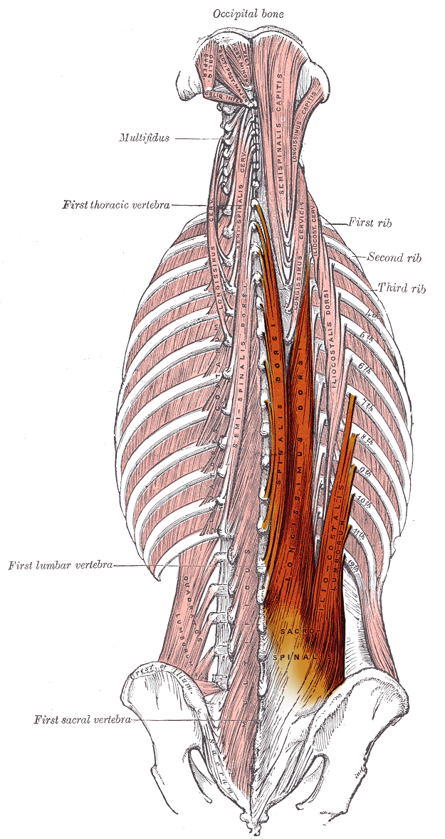 Benefits to a Stronger Core