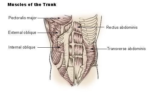 benefits of a stronger core