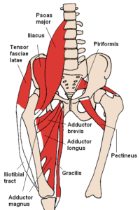 Benefits of Hip Abduction and Hip Adductions