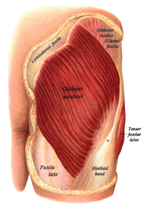 Benefits of Hip Abduction and Hip Adductions