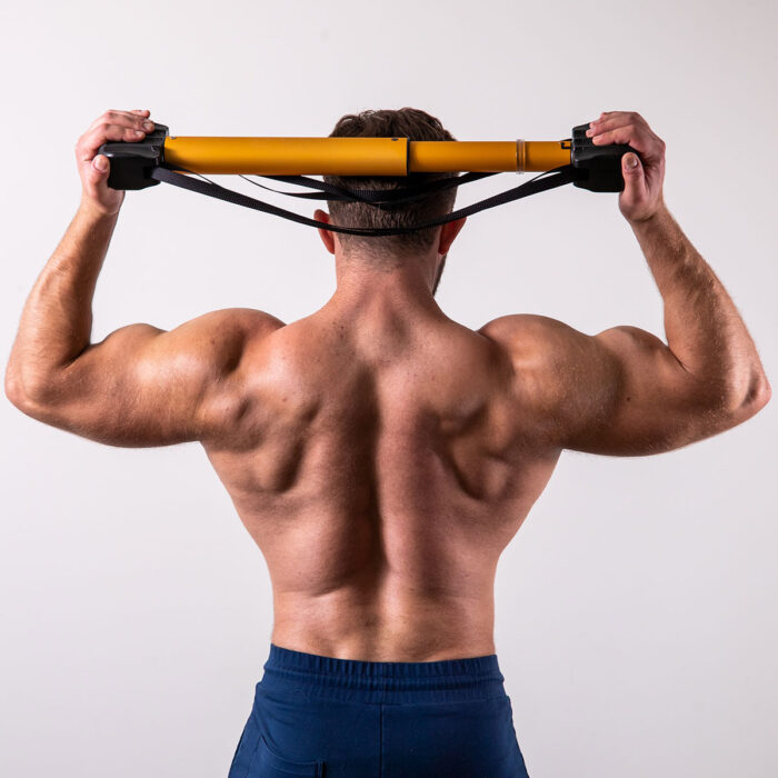 Back Double Bicep Exercise Equipment